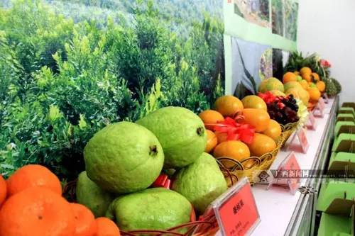 2016中国东盟博览会旅游展,中越商贸旅游博览会