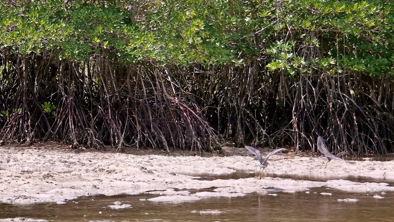 三亚瑞吉大酒店攻略,三亚瑞吉度假酒店房间推荐