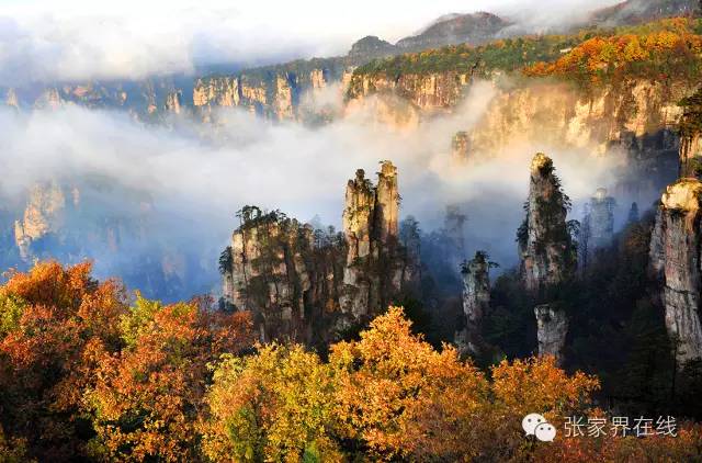 影像张家界季节篇：深秋的印记