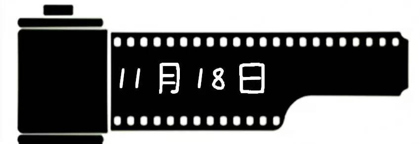 2020十一月观影指南,11月观星指南