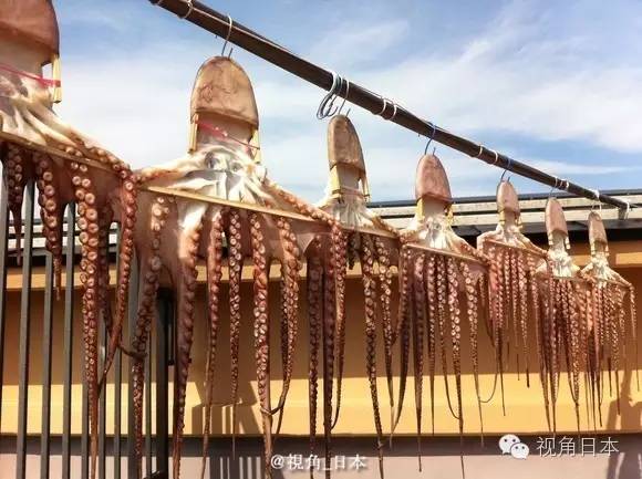 爱知县日间贺岛的章鱼饭SMAP精选集曲目公开等