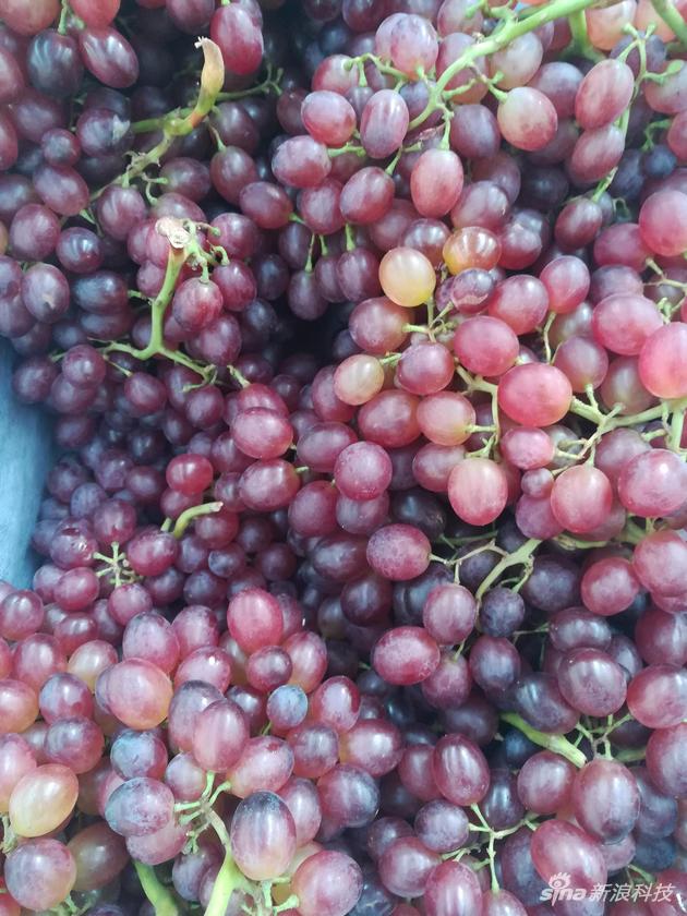 荣耀畅玩6x参数配置详情,荣耀畅享6x参数配置