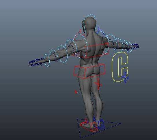 如何快速记忆肌肉起止点,怎么快速记住每块肌肉