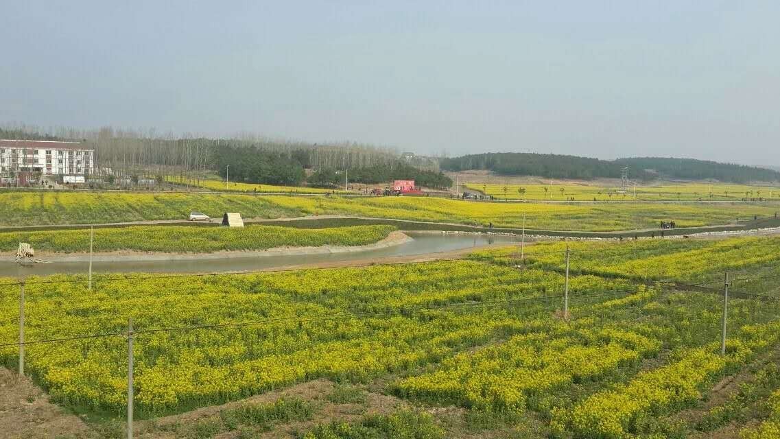 安徽滁州10大最美乡村,滁州第二批美丽乡村名单