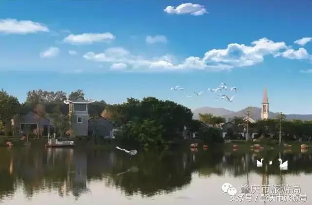 肇庆最新重磅消息,广东肇庆新消息