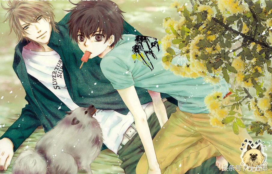 宅女动漫,那些让人少女心爆棚的动漫