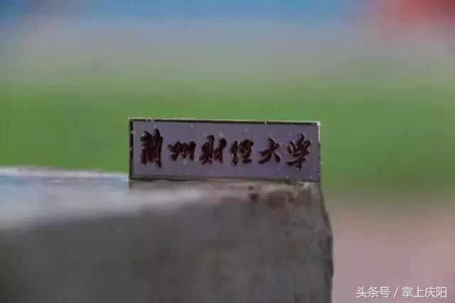 在兰财的一天vlog,在兰大秋天的感受