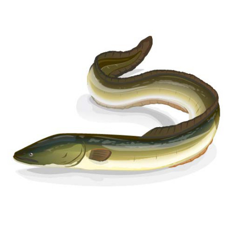 阳台下水道疏通多少钱,疏通阳台下水道管