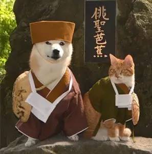 光棍节想脱单的话语,光棍节的脱单语录