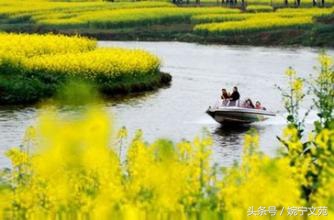 原来门罗煮得是一碗香浓的鸡汤，专治绝望。