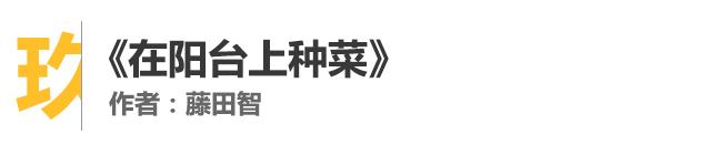 家装设计师最推荐的书,装修室内设计书籍推荐