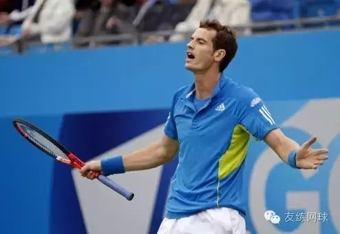 每日观赛指南,观赛规则