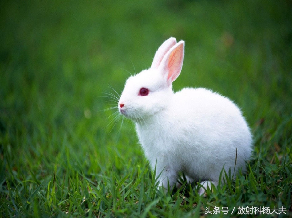 有幽闭恐惧症做不了核磁改做ct,有幽闭恐惧症的人怎样做核磁共振