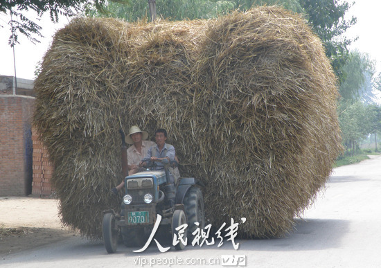 逛武功河滩会,逛武功千年河滩会