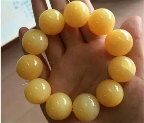 砗磲的基本知识,正确保养砗磲的方法