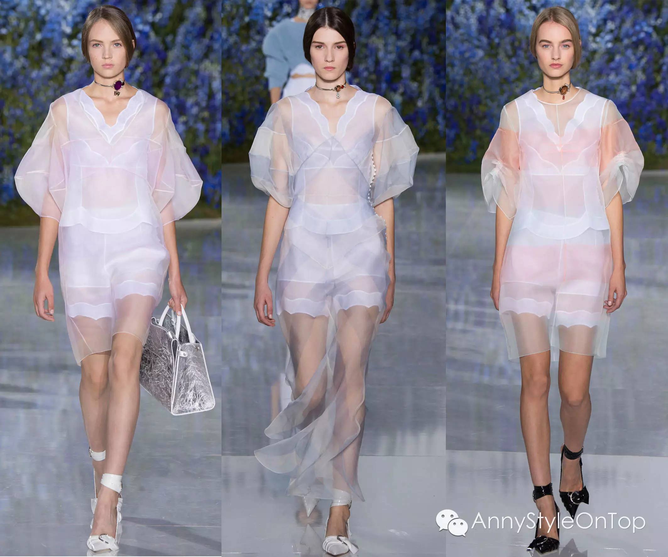 终极指南细说蚂蚁,2022年大趋势攻略