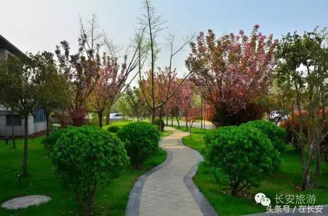 冬天来清远泡温泉吧,冬天快来一起泡温泉