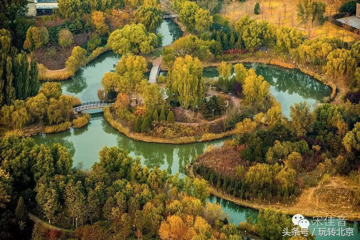 世界最大三塔连体建筑,全世界最大的三塔连体建筑