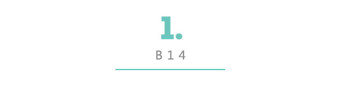 coccinelle包包是真皮,coccinelle最高端女包价格