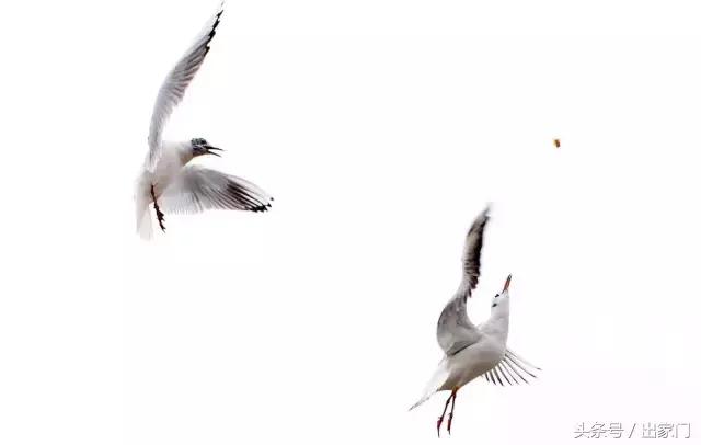 “乐活”青岛,“山居”生活,附上青岛必游之地和住宿指南!