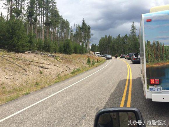 在美国旅游日常,在美国旅游攻略大全最新