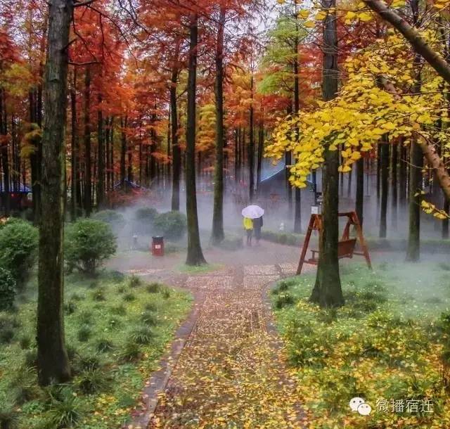 江苏宿迁市冬天最好的温泉,泡温泉地方推荐宿豫区