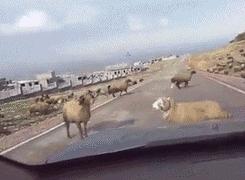 鑰佹箍瑙ｈ灏戞灄瓒崇悆,鑰佹箍瀹炲喌瓒崇悆鎼炵瑧瑙嗛