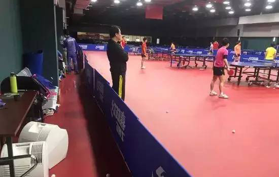 孙杨年薪多少万元,孙杨拿了多少块金牌