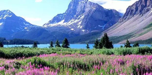 九蜂堂,九蜂堂蜂蜜