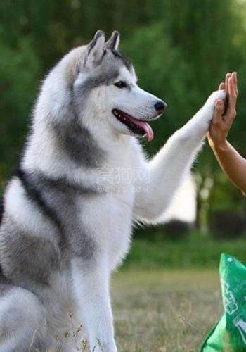 如何照顾女生,如何照顾生病的老人