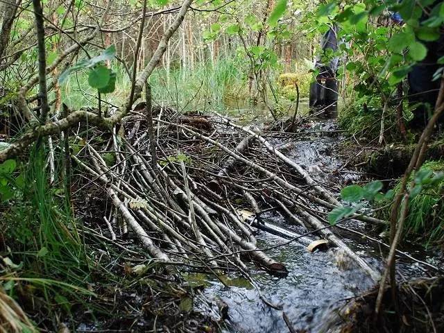 为什么这么多人要去加拿大,去加拿大最应该了解哪些事情