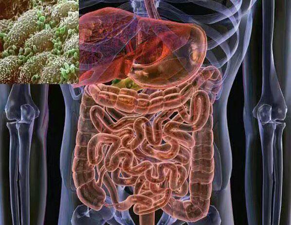 8个月宝宝拉肚子一直没有好,八个月宝宝腹泻不止怎么办