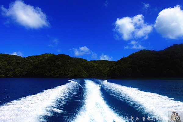 彩虹王国美术作品,彩虹王国紫色