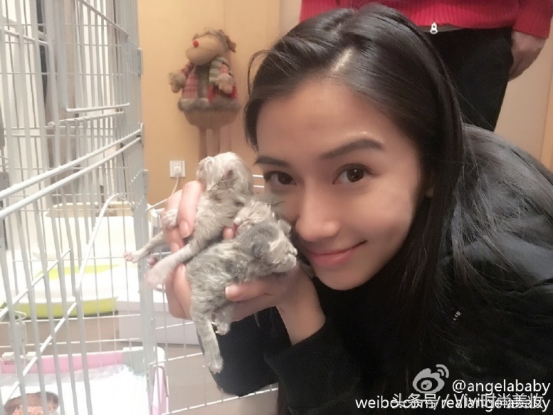 最美猫奴争夺战!铲屎官范冰冰、baby撞衫猫咪洋装谁出彩?