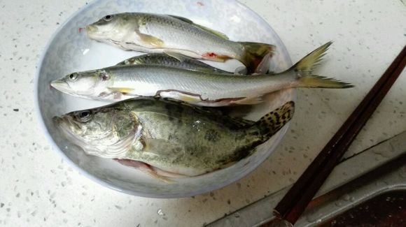 小河钓起一条“翘嘴”仔细一看我笑了