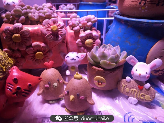 谈谈我的看法和感想,谈谈我对自己的看法