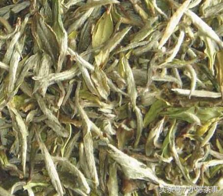 肝火旺可以喝苦丁茶吗,肝火旺能喝熟普洱茶吗