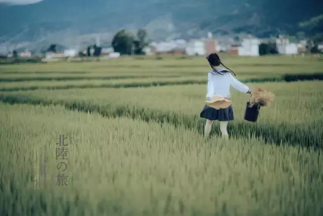 疯子charles课怎么样,疯子摄影师