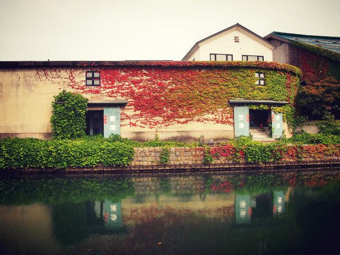 初秋日本快步东京，慢行北海道，泡汤美食8日