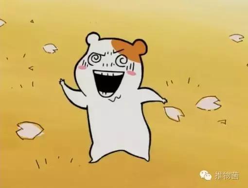 双11美妆必买清单,美妆双十一攻略直播