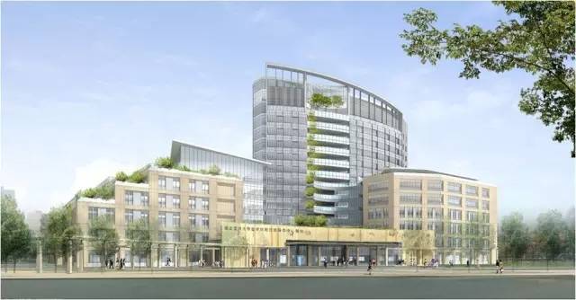 中国人赴国外治疗癌症,癌症治疗之旅