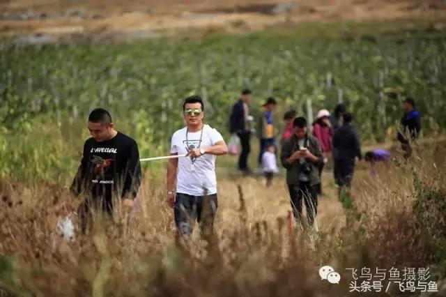 最好的旅程是在家陪伴,最好的旅行是陪伴