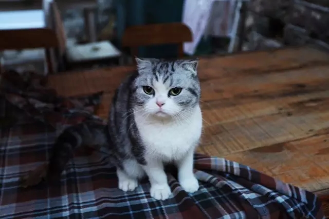 为了不让你轻易找到,他们开了这样一家隐市小店