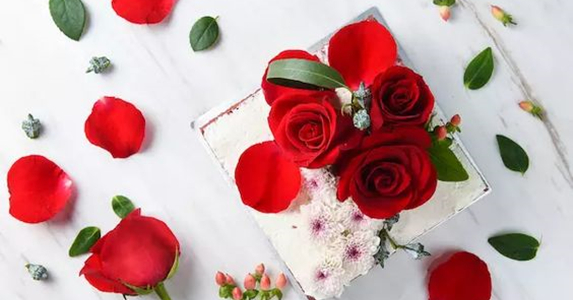 平凡女秘书唠叨又小气，帅气总裁居然还非她不娶