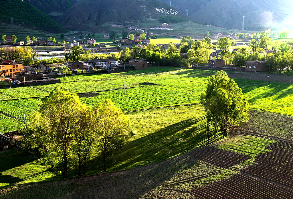 成都市拍婚纱照去哪里拍比较好看,推荐一下拍婚纱照的地方