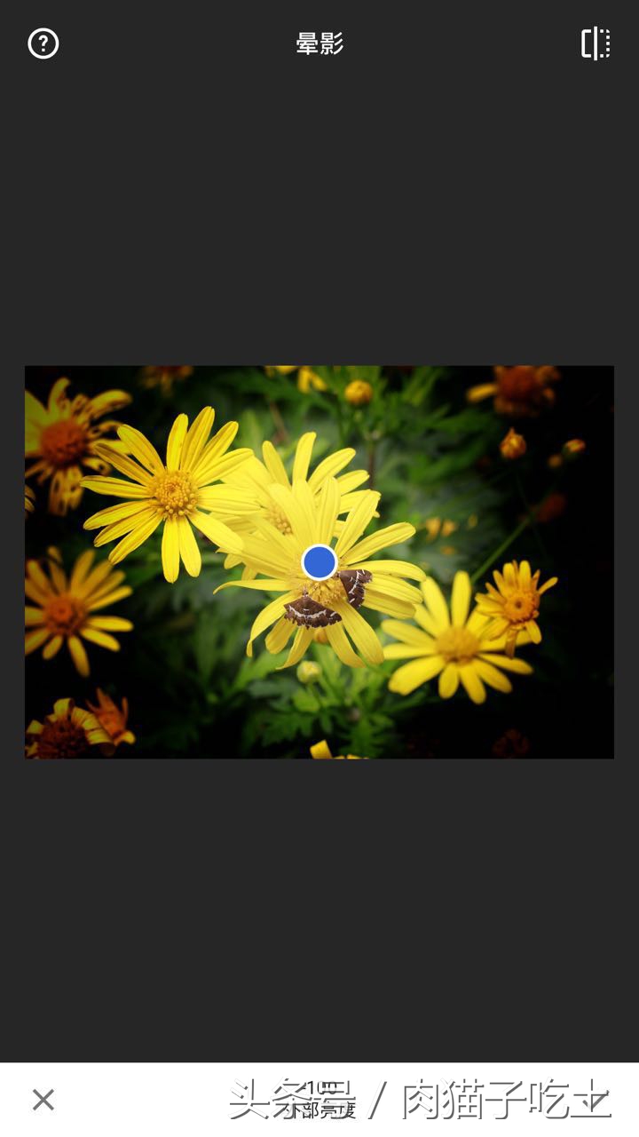 用手机如何把照片p成蓝底,手机设置背景变黑色怎么调回来