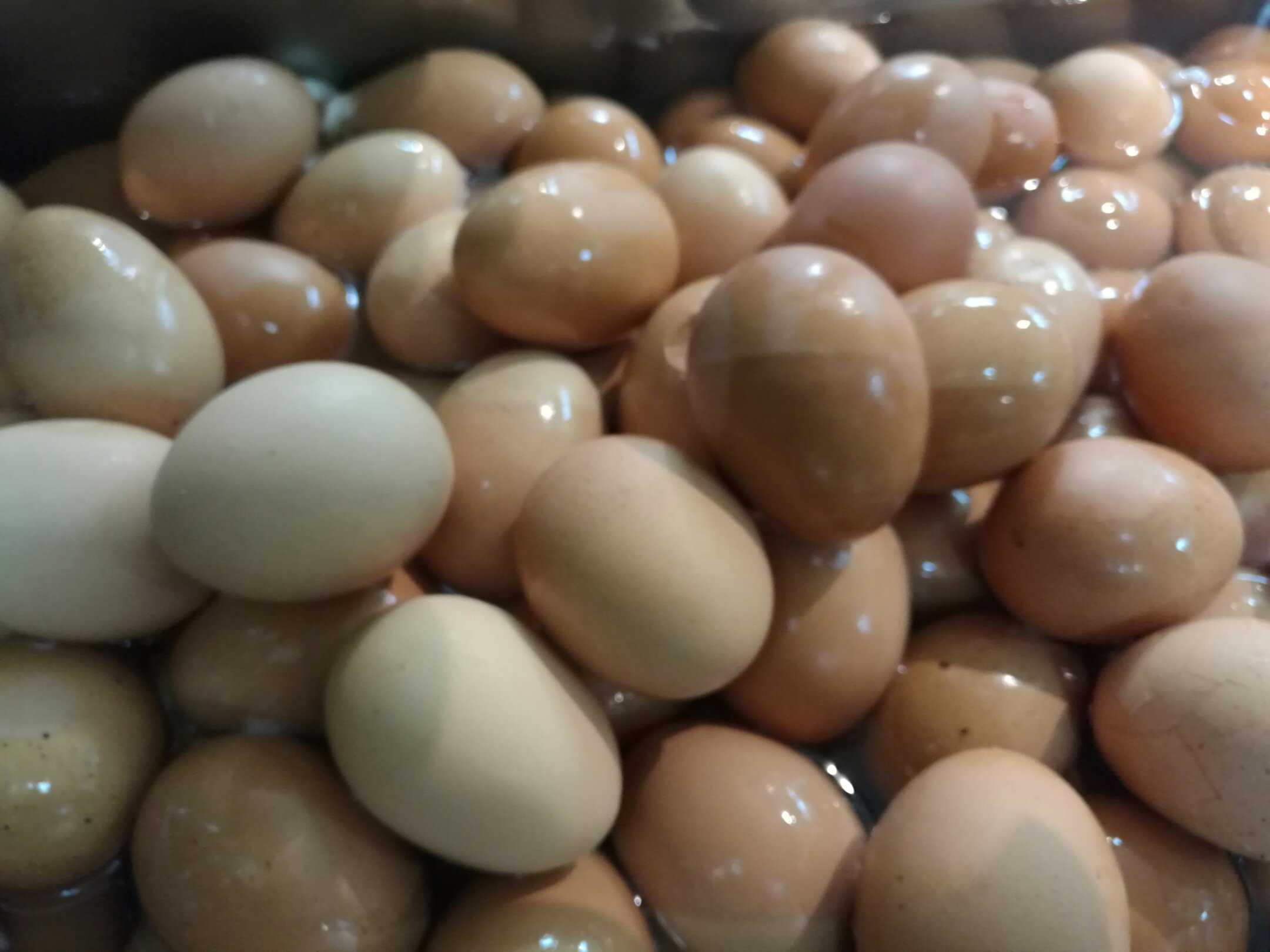 解放军306医院除夕之夜倒计时与正计时