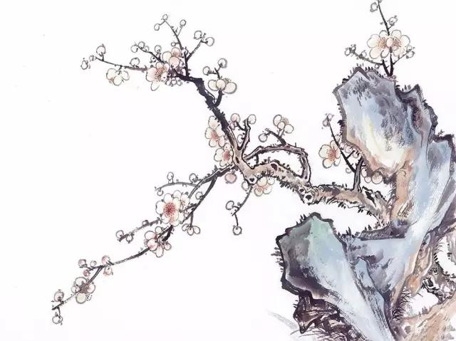 看梅花的千姿百态,看各种梅花