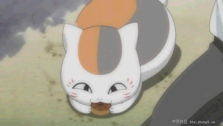 可爱动漫猫图片,十分可爱的动漫猫