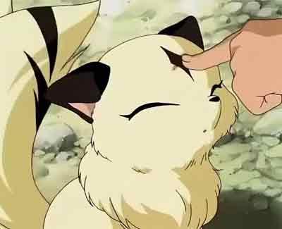 可爱动漫猫图片,十分可爱的动漫猫